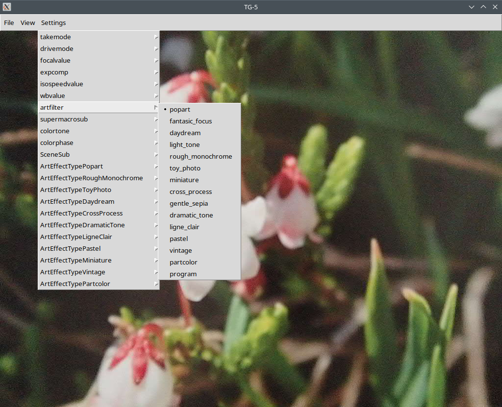 image of camera's liveview